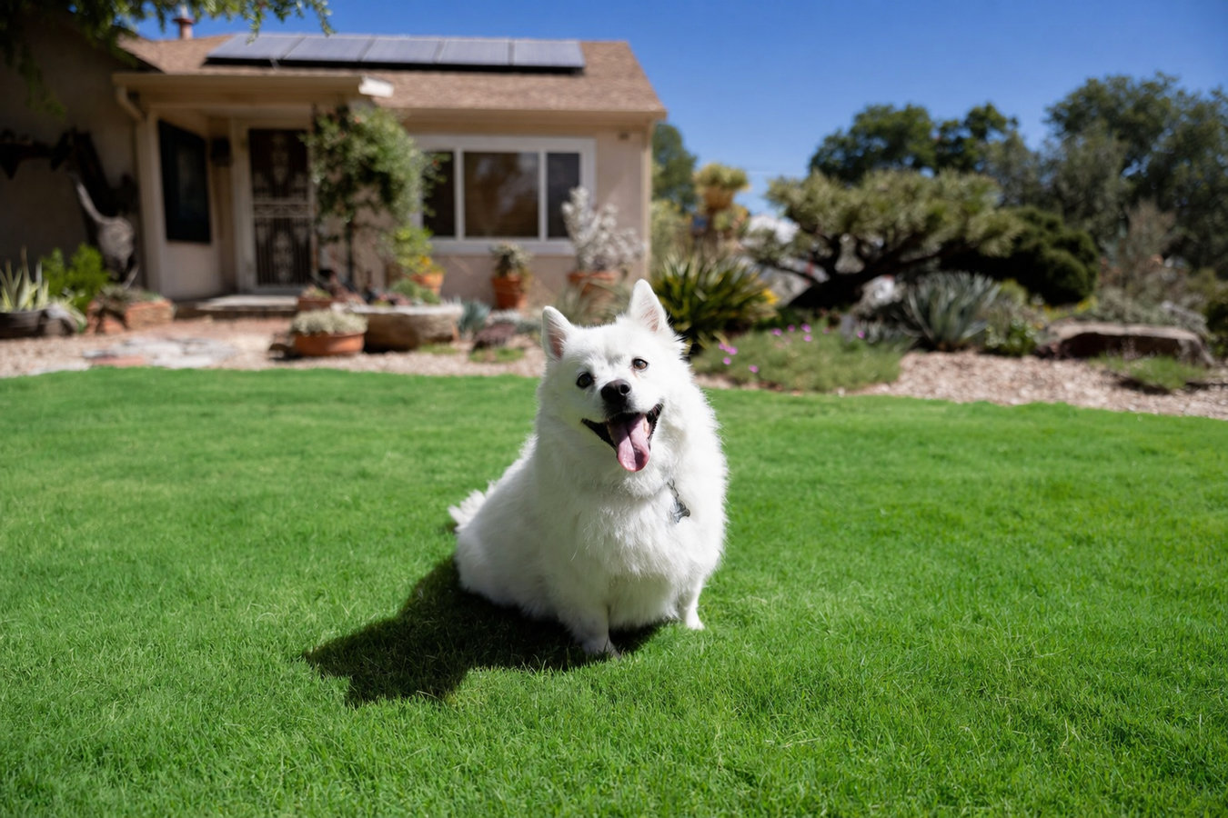 Artificial Turf Installer services in Oak Hill, FL