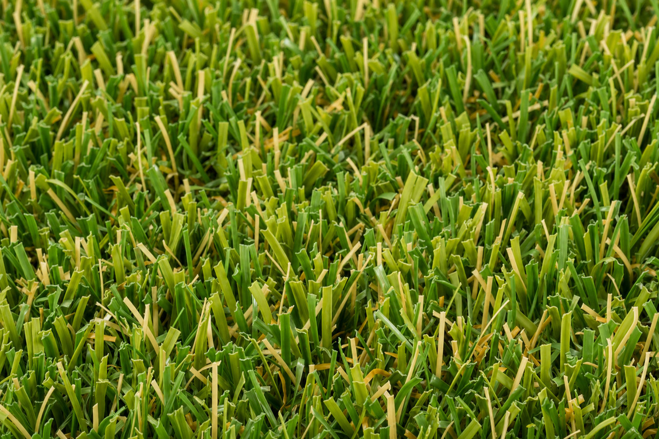 Artificial Turf Installer services in Deltona, FL